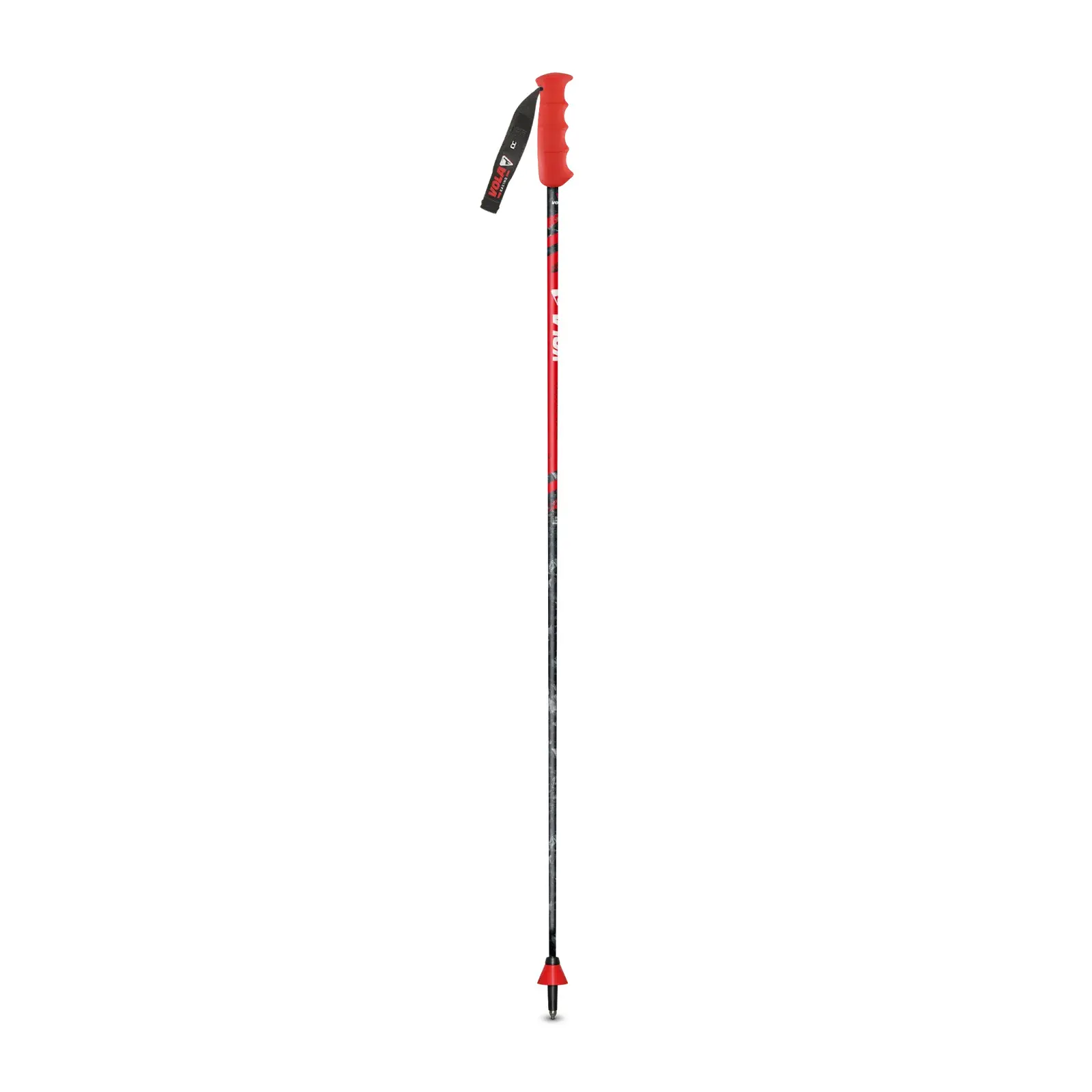 Bâton de ski carbon Vola Gs