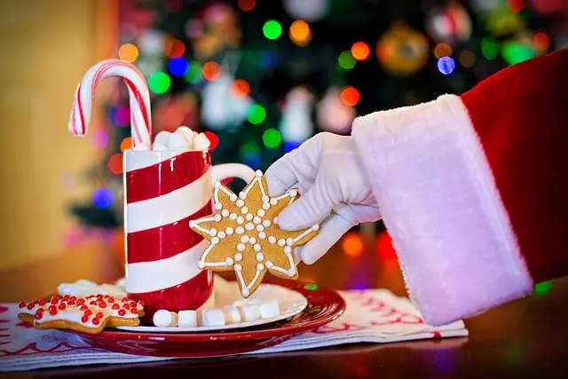 Les 10 Meilleures Activités à Faire Pendant les Festivités de Noël