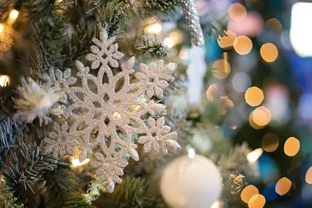 Les Meilleures Activités à Faire Pendant les Festivités de Noël