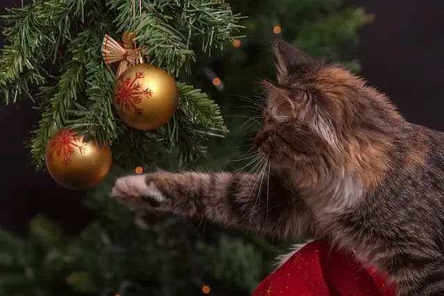 Les 10 Meilleures Activités à Faire Pendant les Festivités de Noël