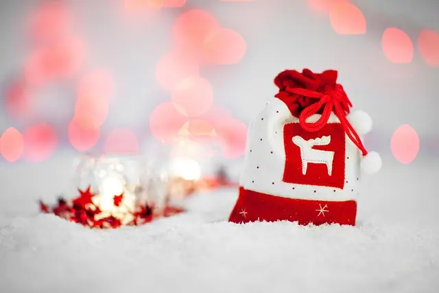 Comment Organiser des Festivités de Noël Inoubliables