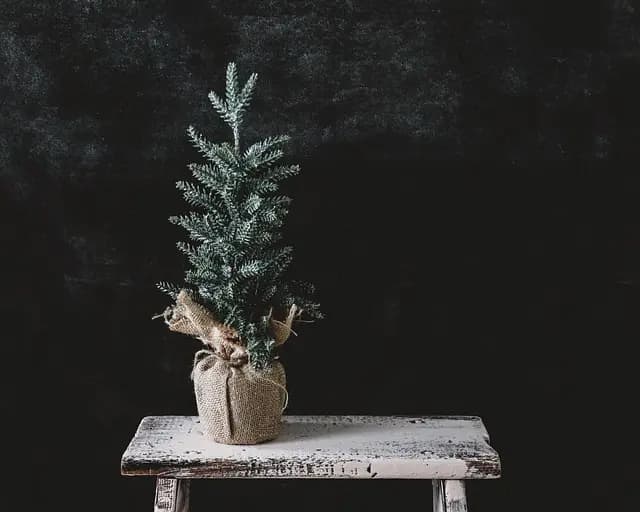 Les 10 Traditions de Noël à Ne Pas Manquer