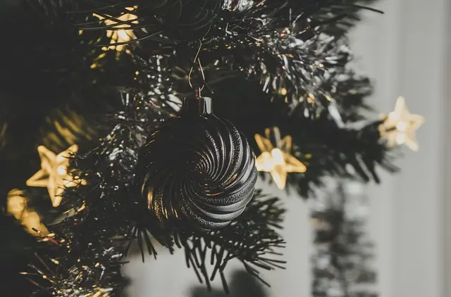 10 Activités Amusantes à Faire en Famille Pendant Noël