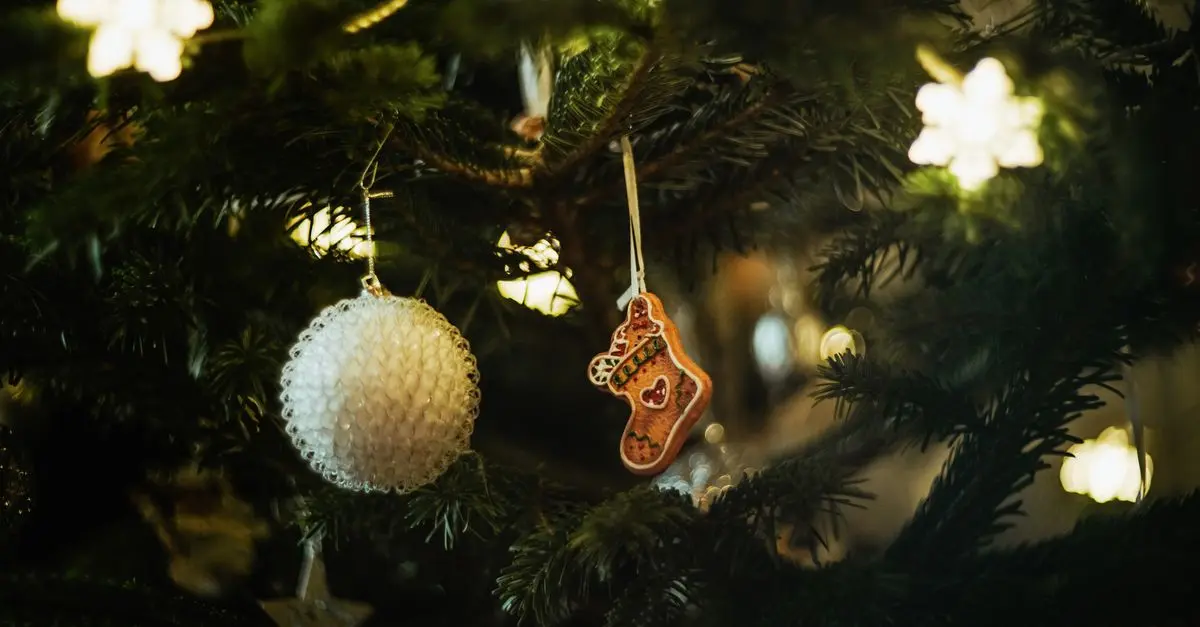 Les Traditions de Noël en France : Un Voyage Culturel