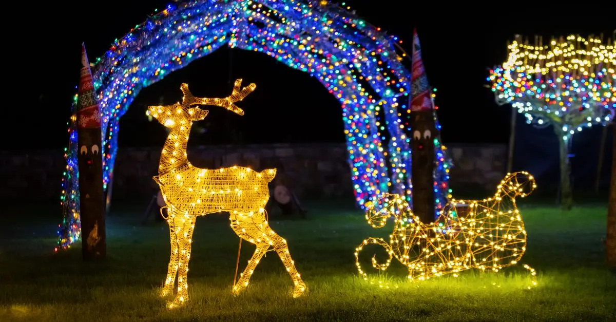 Comment Créer un Spectacle de Lumières pour Noël