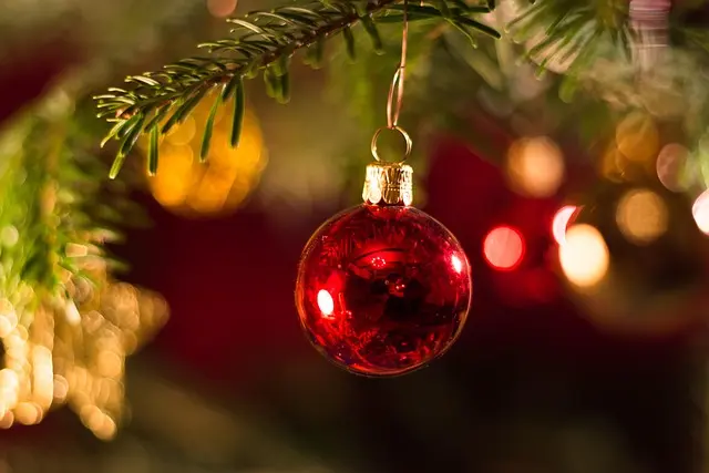 Les 10 Activités Incontournables pour des Festivités de Noël Réussies