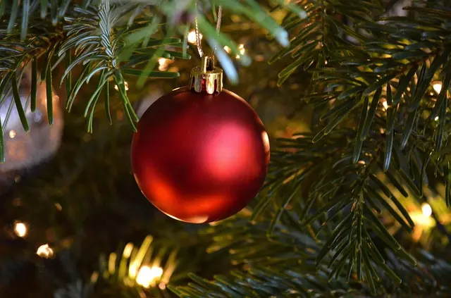 10 Activités Magiques à Faire pour des Festivités de Noël Réussies
