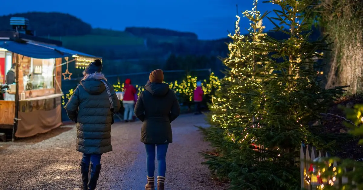 Comment Créer un Marché de Noël en Famille dans Votre Jardin