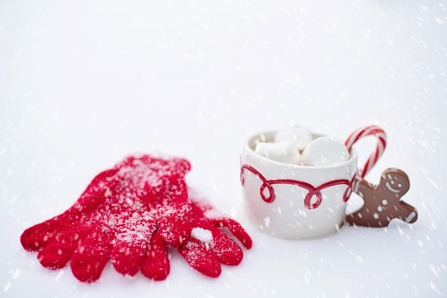 Les Meilleures Recettes de Chocolat Chaud pour Noël