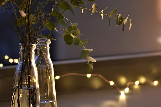 Les Meilleures Idées de Décorations de Noël à Réaliser