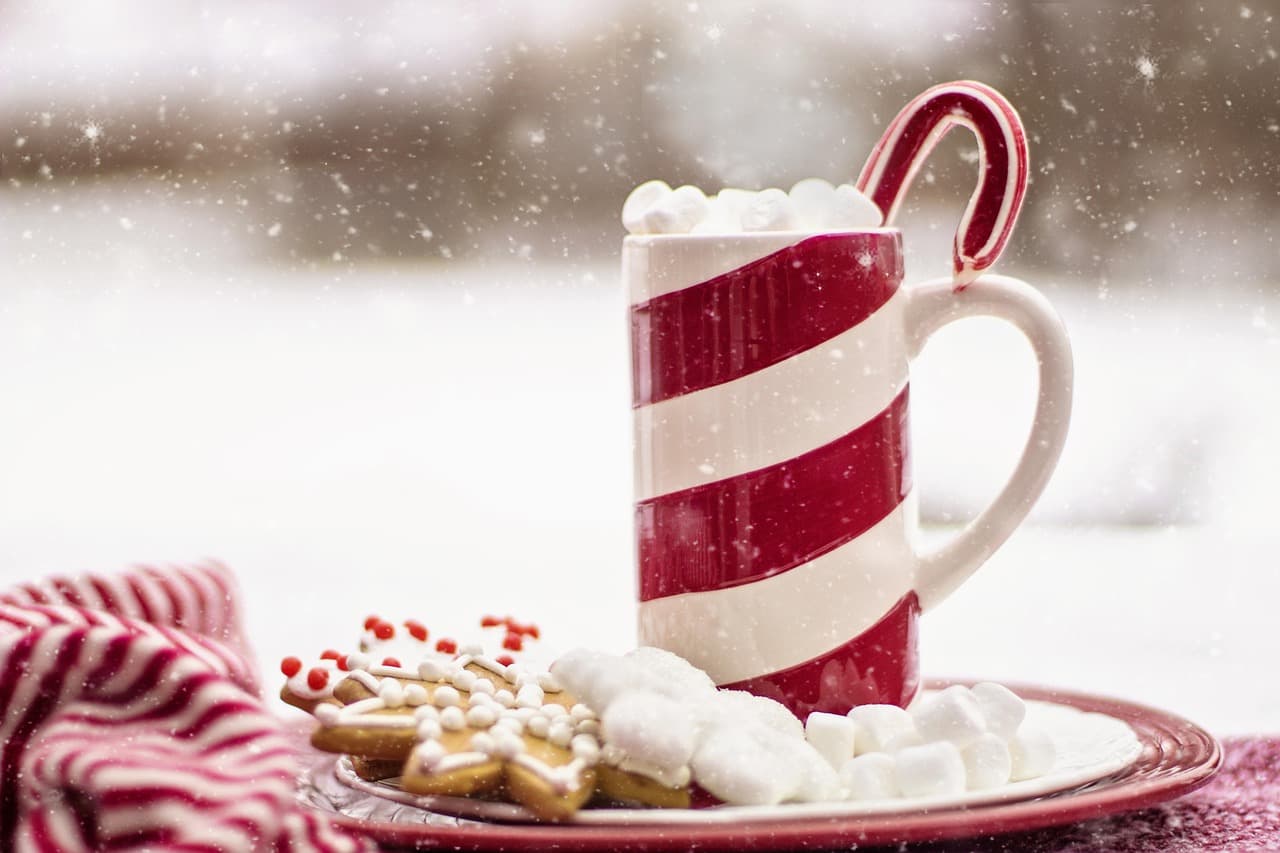 Les Meilleures Recettes de Chocolat Chaud pour Noël