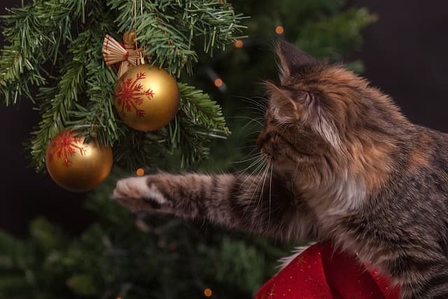 10 Activités Festives à Faire en Famille Pendant Noël