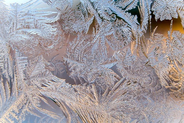 Les Traditions de Noël à Travers le Monde : Un Voyage Culturel