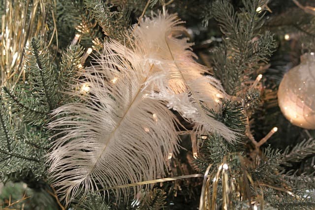 Créer des Souvenirs Inoubliables : Activités Familiales à Noël